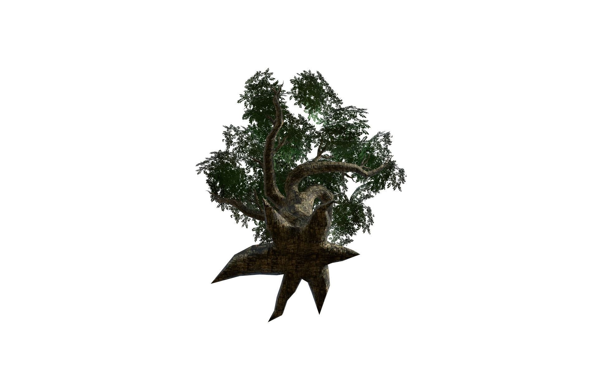 Big tree Low-poly 3D model_10