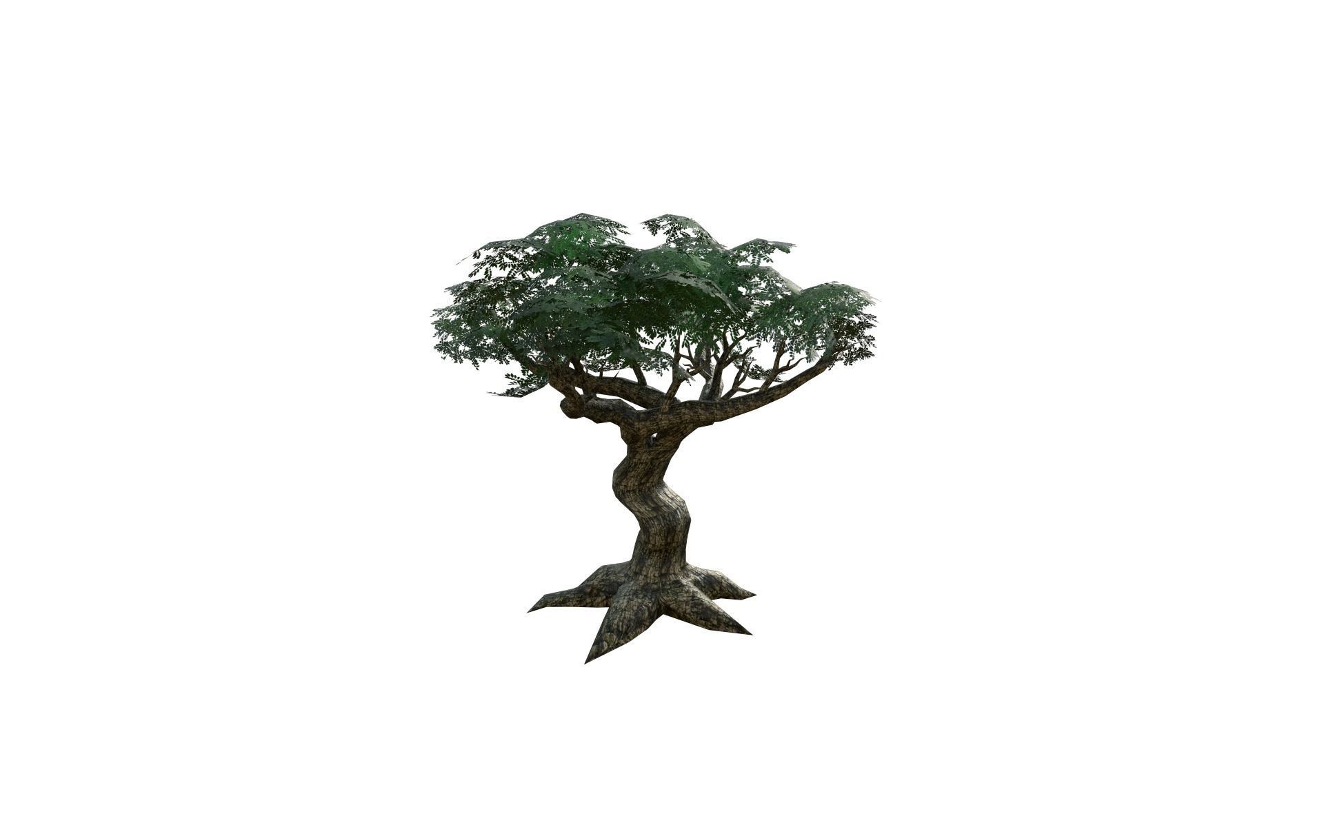 Big tree Low-poly 3D model_4