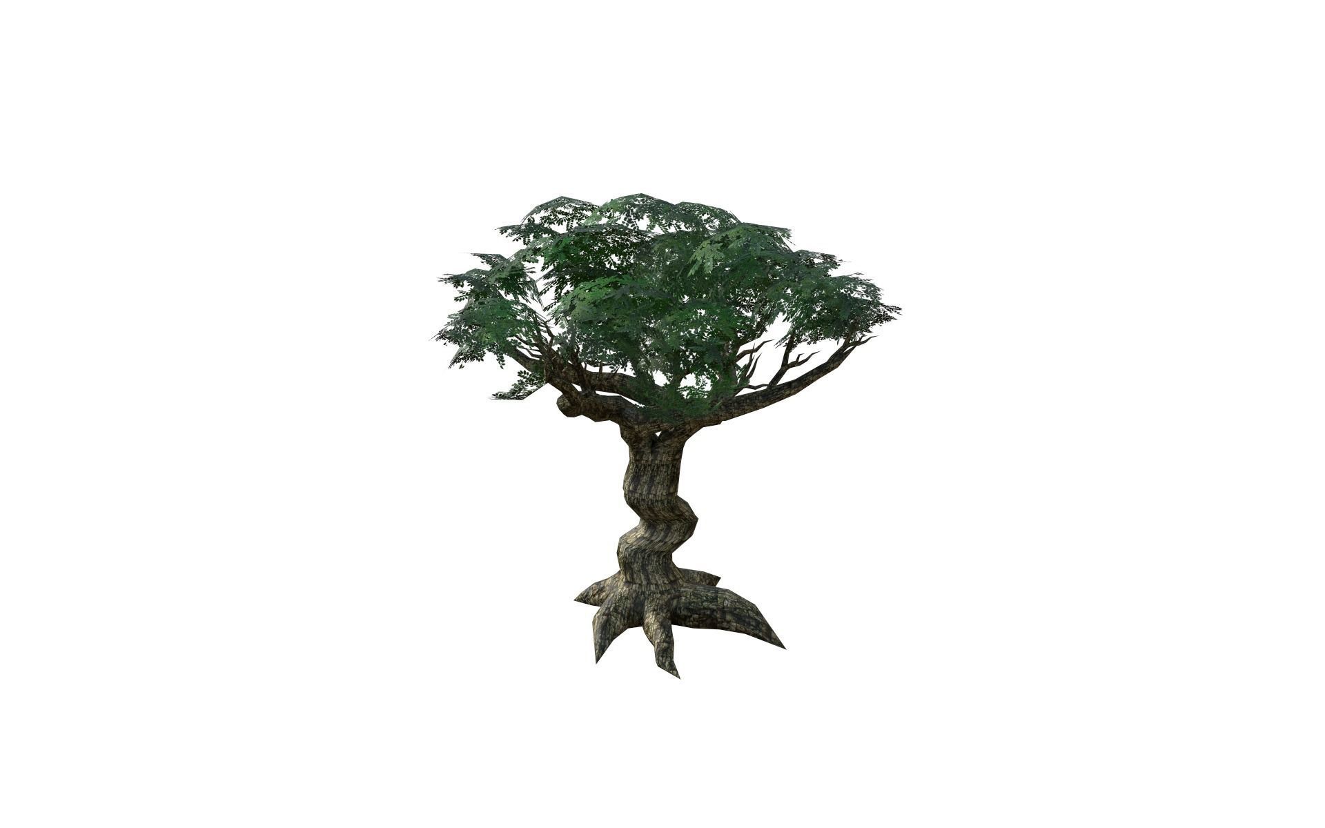 Big tree Low-poly 3D model_6