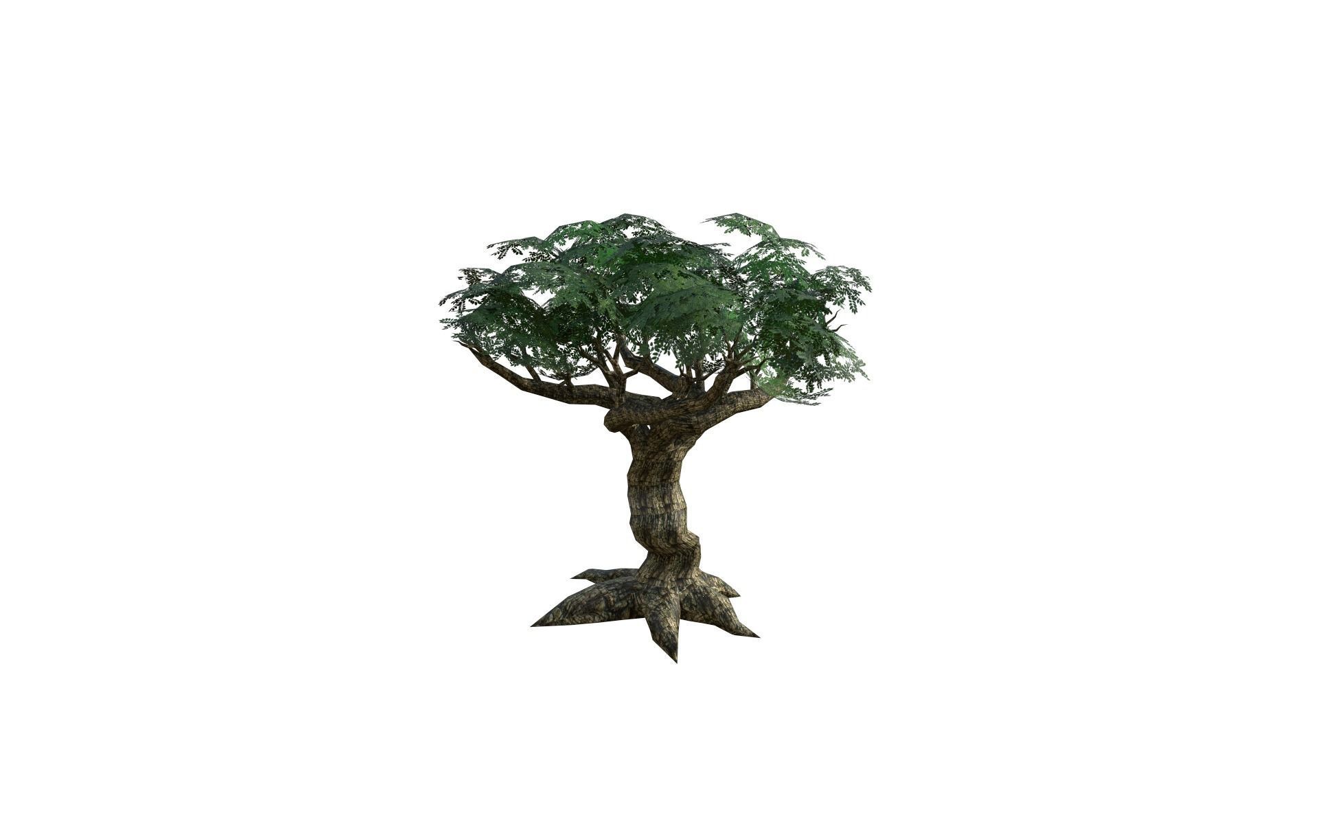 Big tree Low-poly 3D model_3