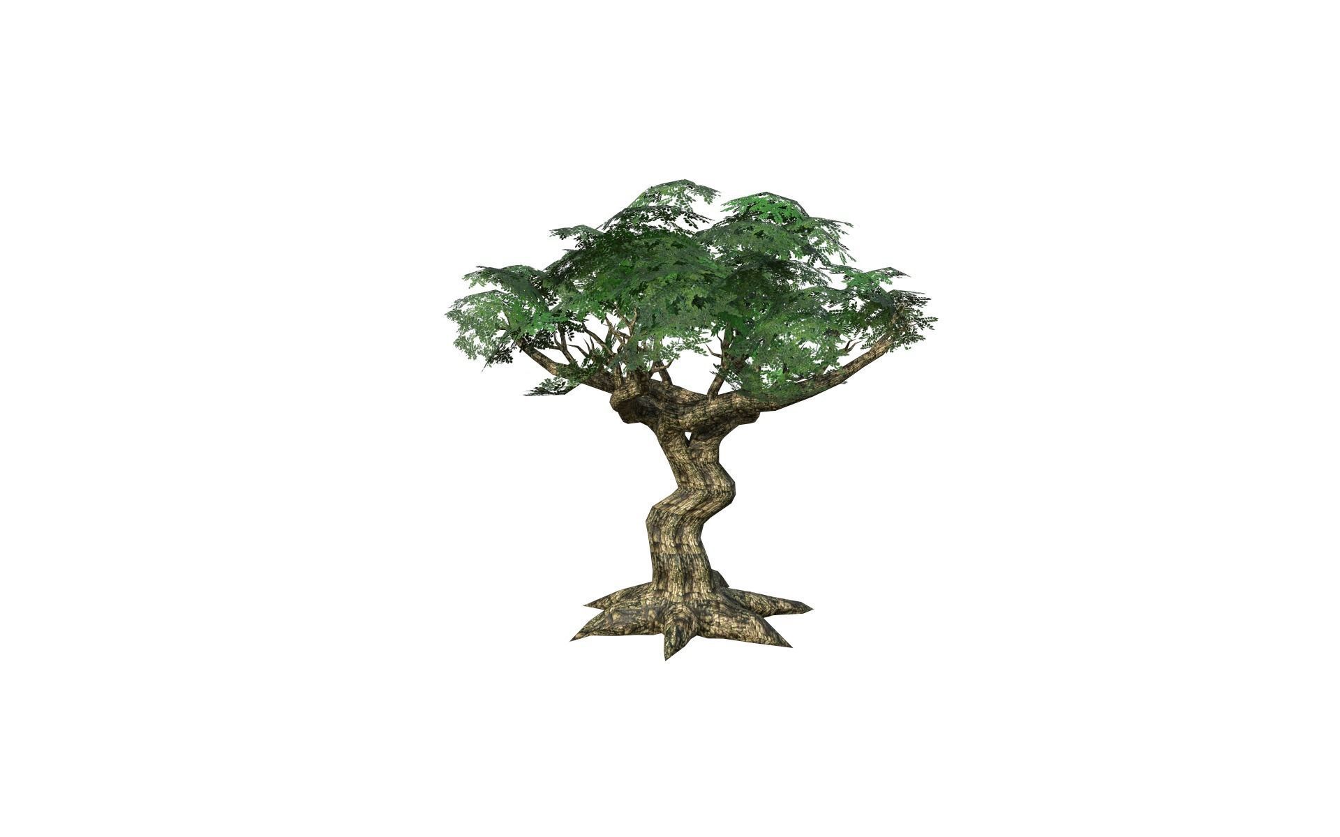 Big tree Low-poly 3D model_8