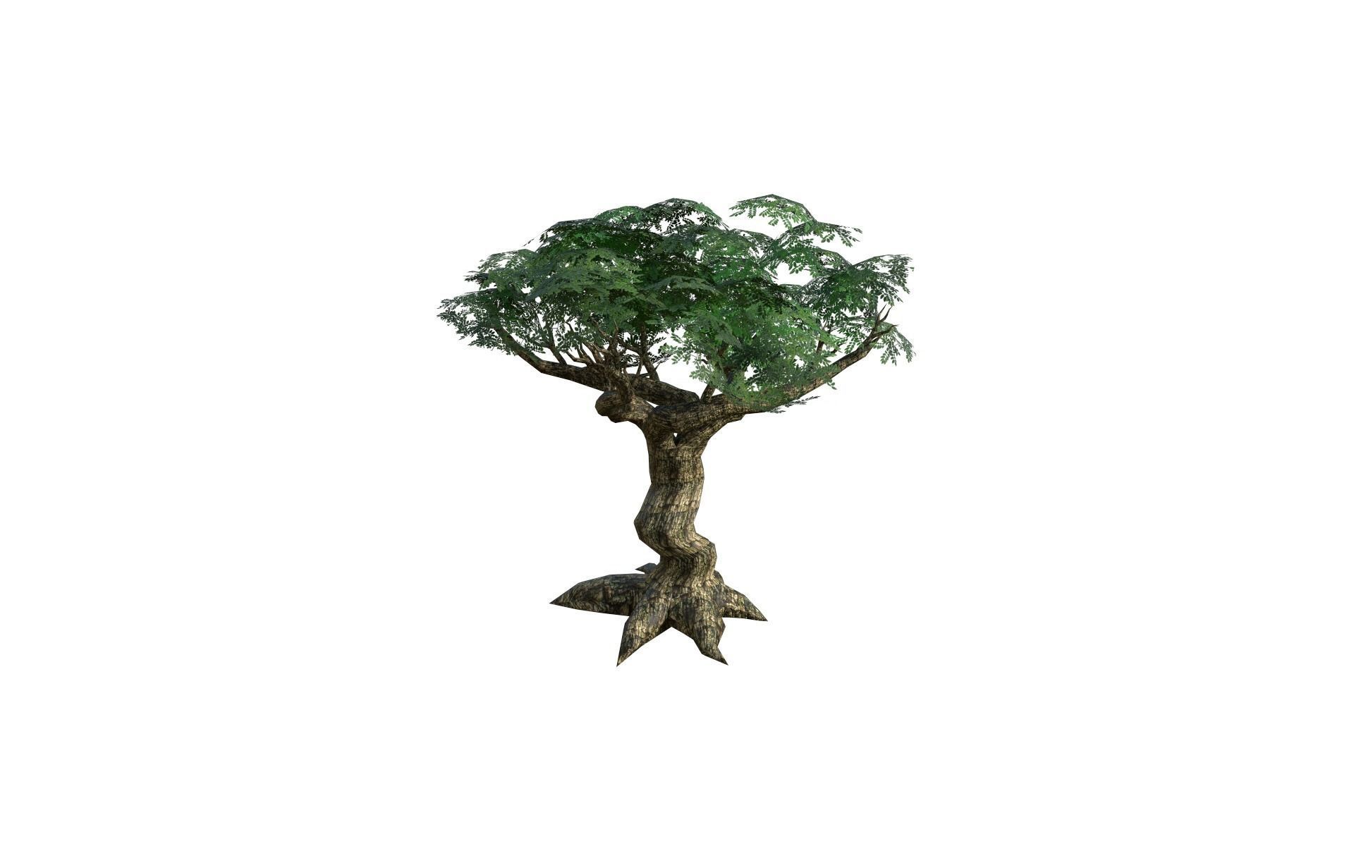 Big tree Low-poly 3D model_2