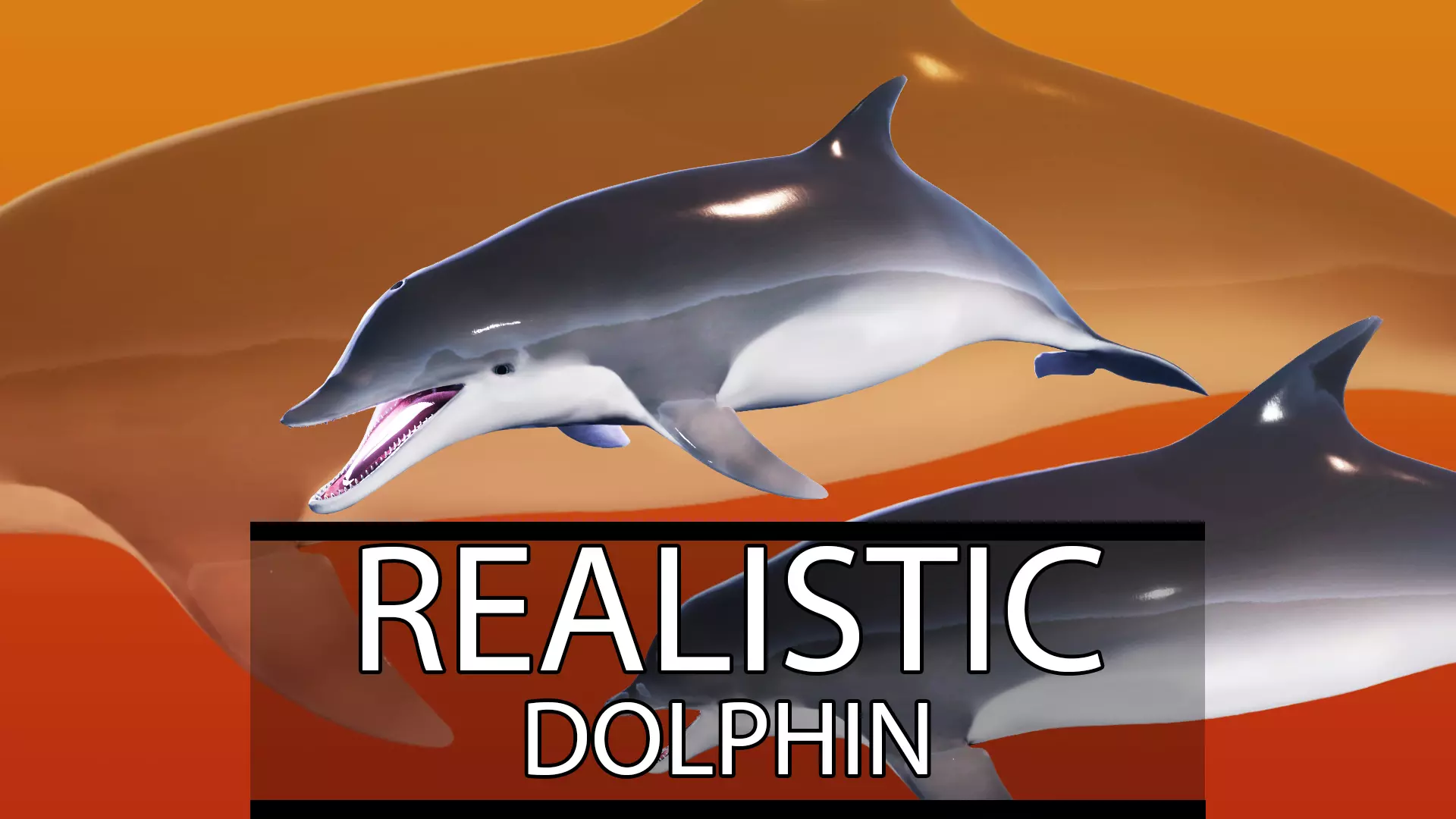 Realistic Dolphin unreal engine free VR / AR / low-poly 3D model | CGTrader