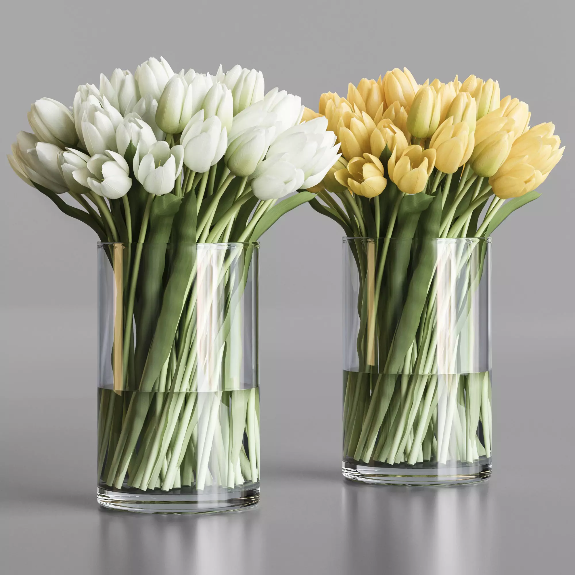White and yellow tulips 3D model_0