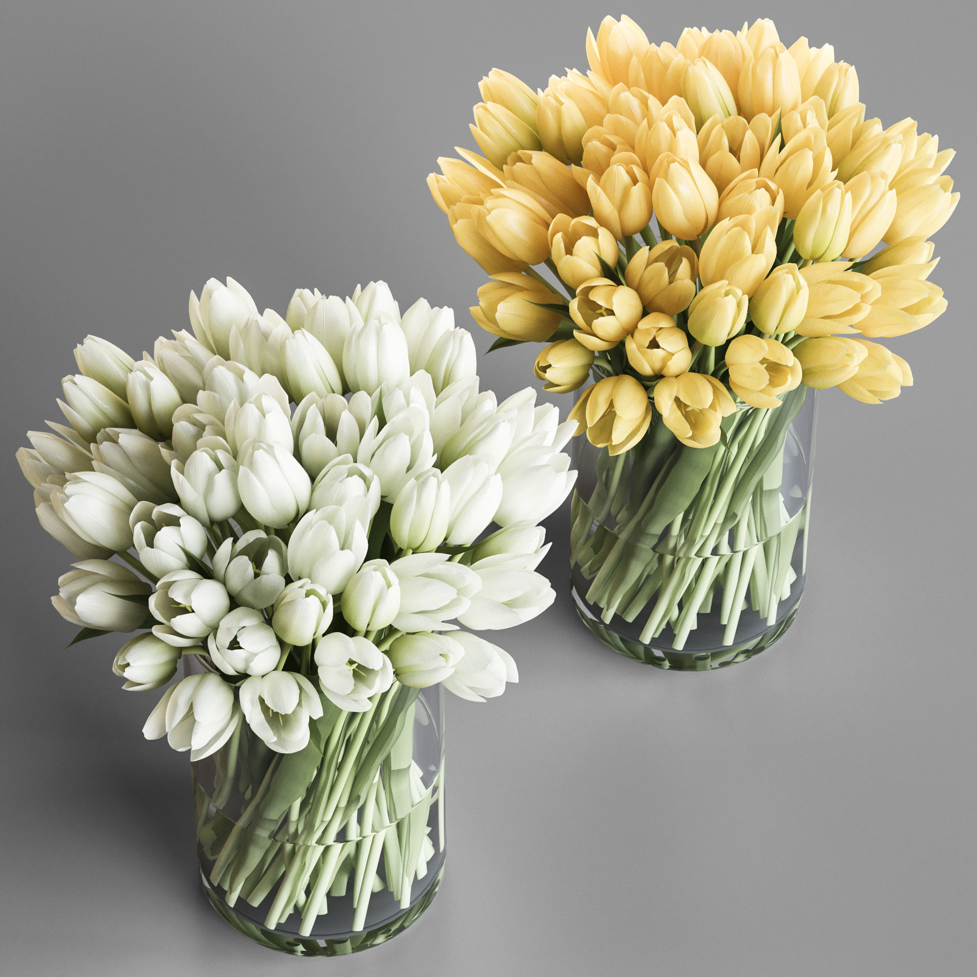White and yellow tulips 3D model_1