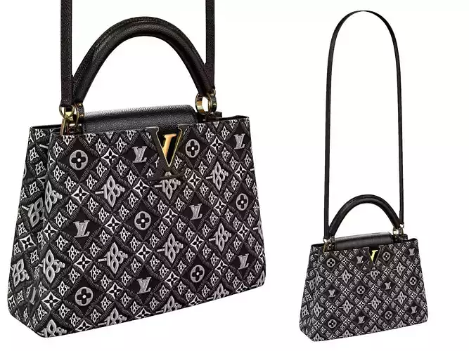 Louis Vuitton bag Capucines MM Since 1854
