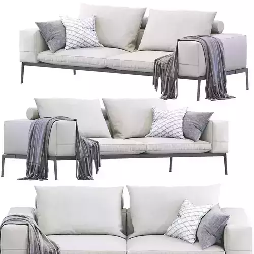 Lifesteel Leather Sofa By Flexform