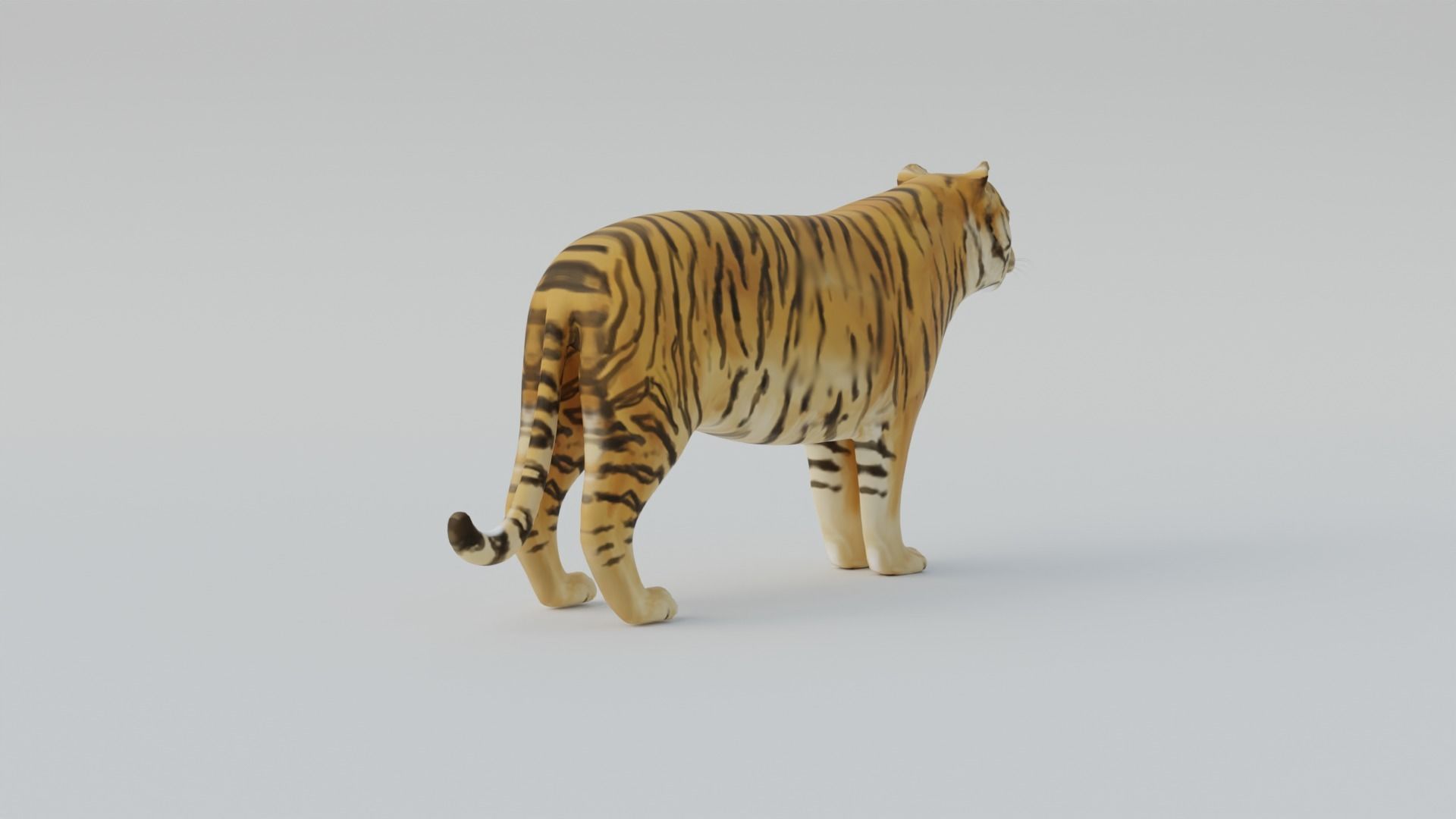 Tiger Free 3D model_5