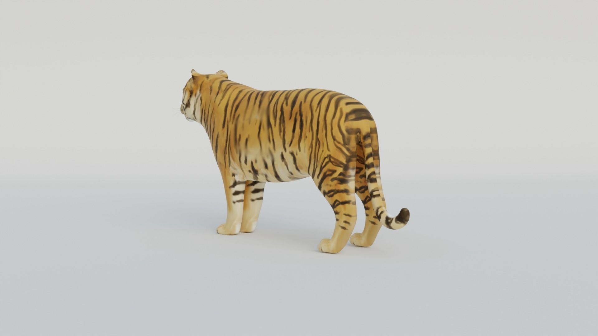 Tiger Free 3D model_4