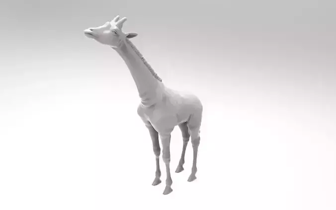 Baby  Giraffe Somalische 3D print model