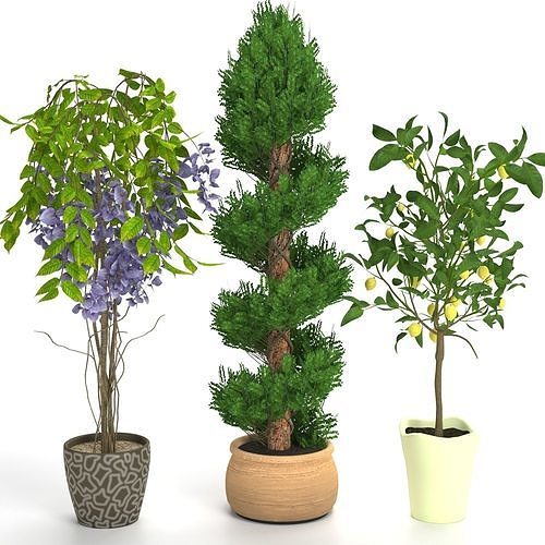 Plants set 2 potted - potted 3D model