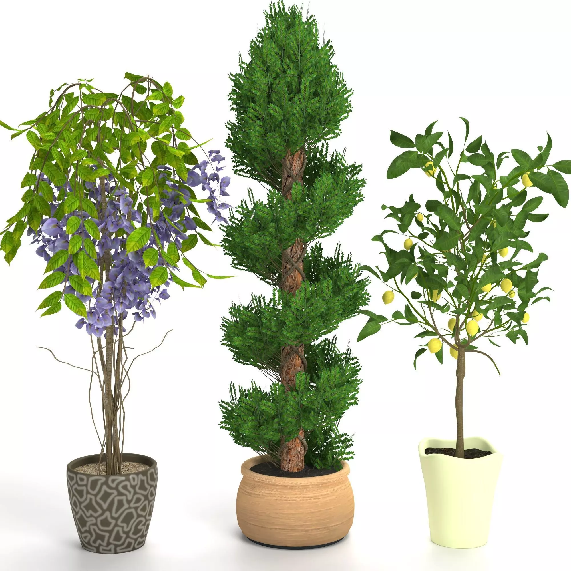 Plants set 2 potted - potted 3D model