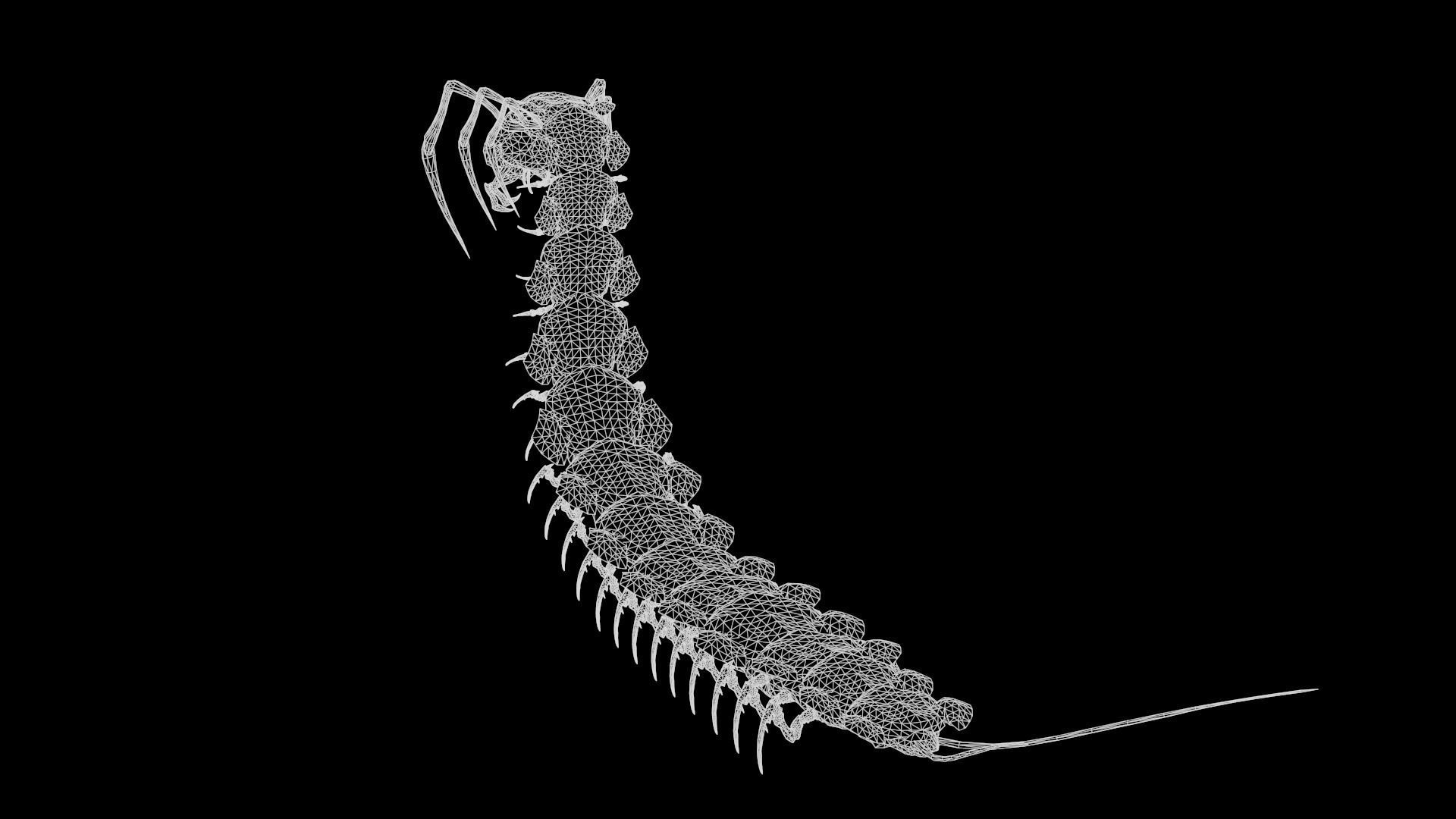 Centipede Low-poly 3D model_6