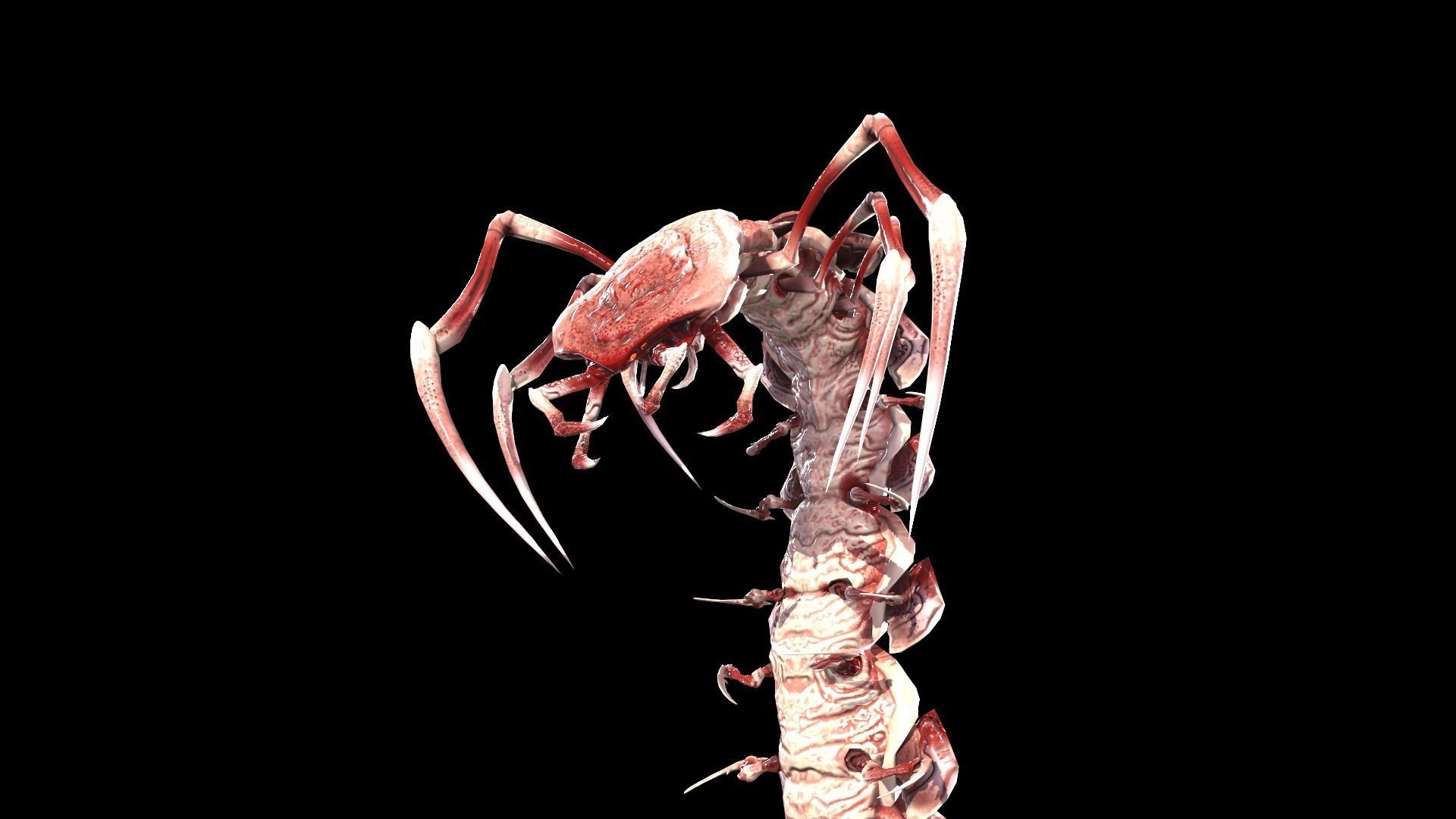 Centipede Low-poly 3D model_34