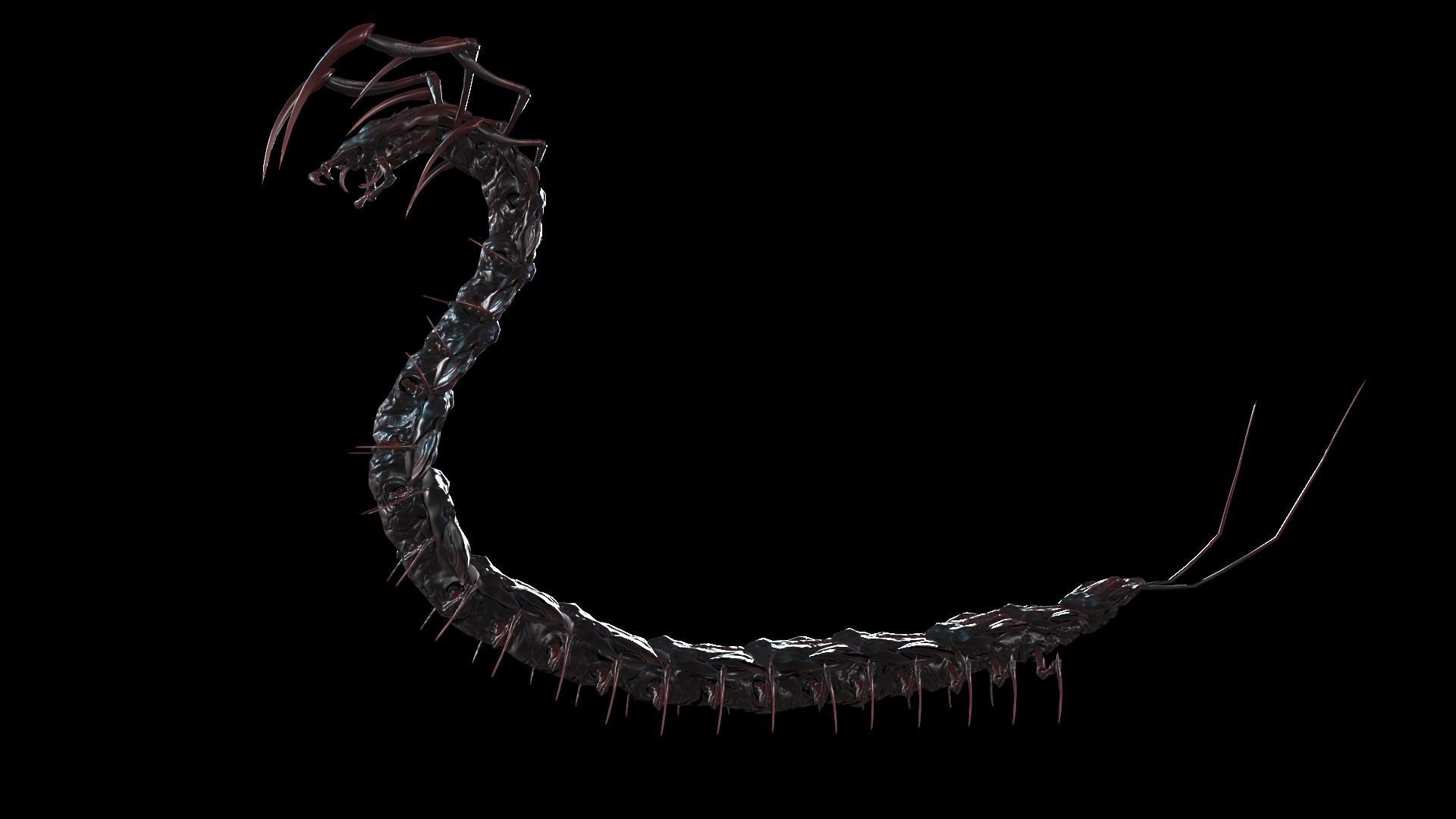 Centipede Low-poly 3D model_20