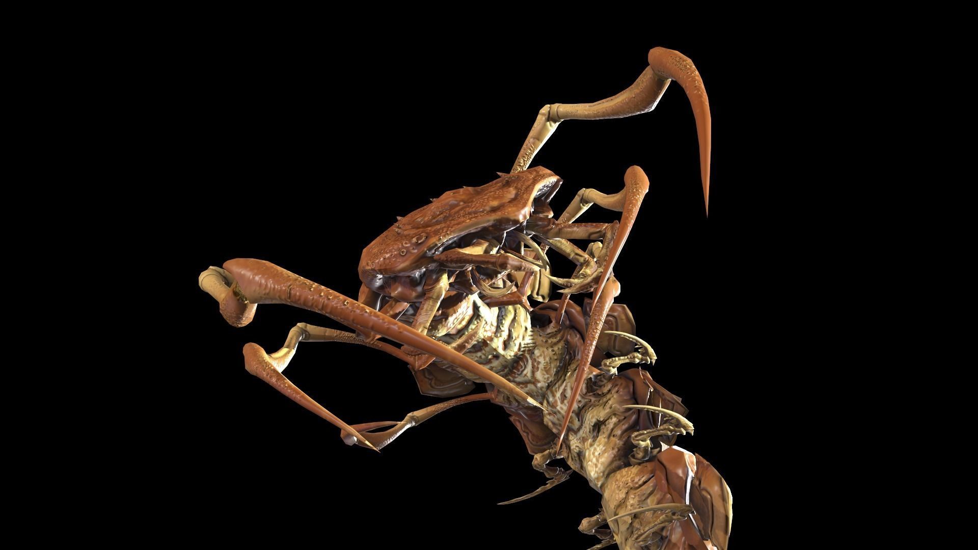 Centipede Low-poly 3D model_32