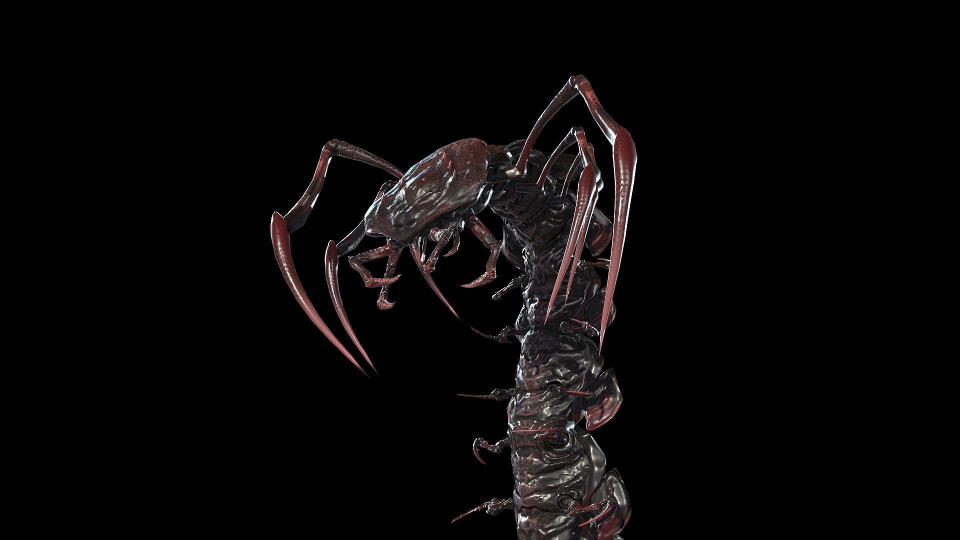 Centipede Low-poly 3D model_33