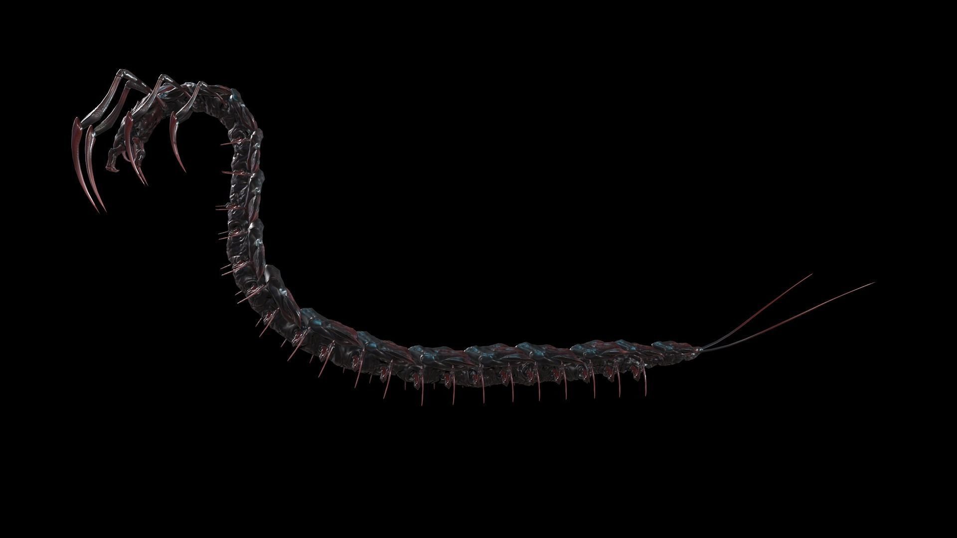 Centipede Low-poly 3D model_12