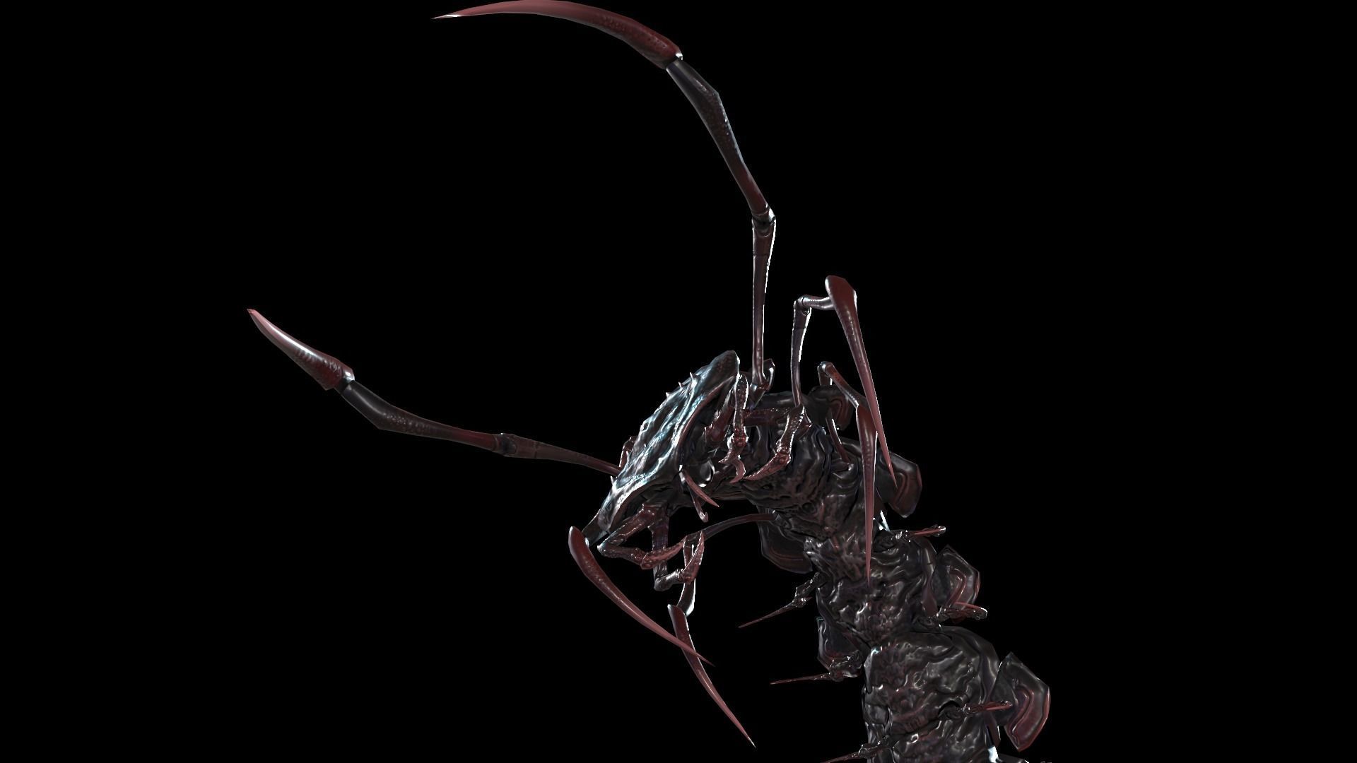 Centipede Low-poly 3D model_11