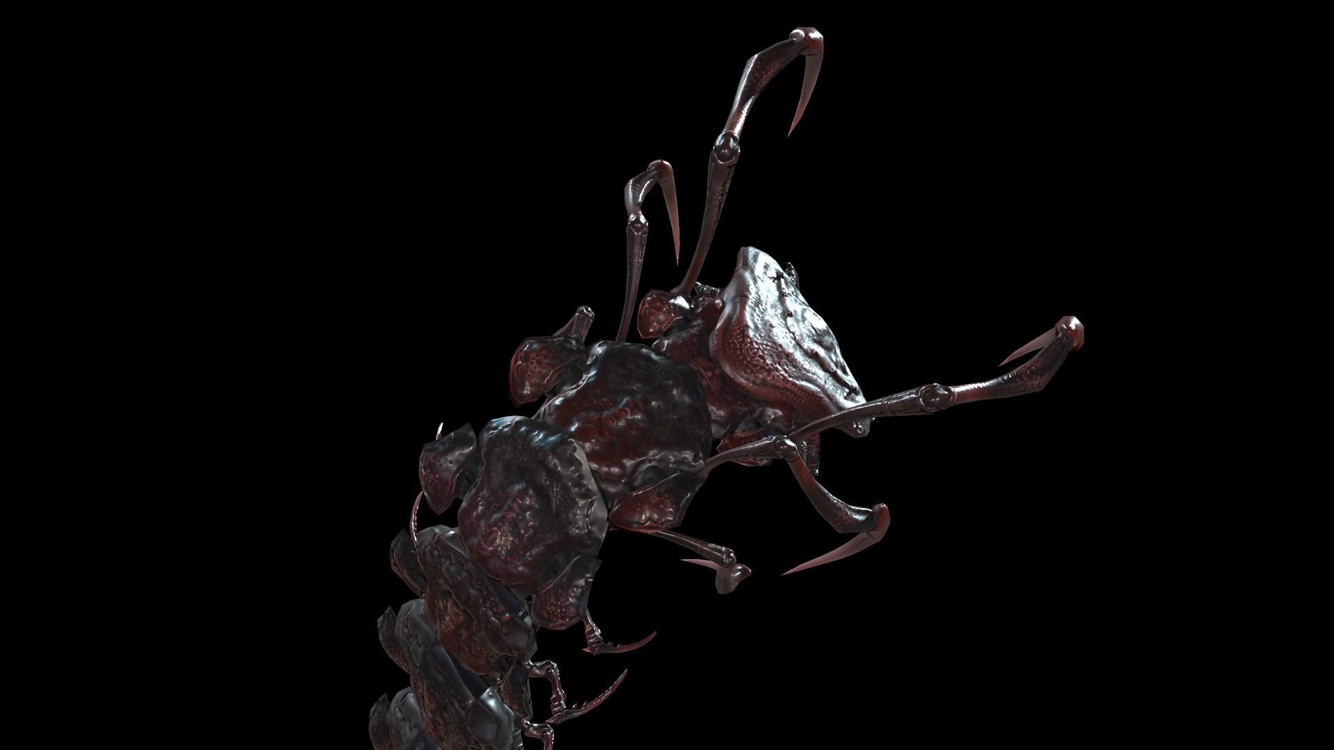 Centipede Low-poly 3D model_17