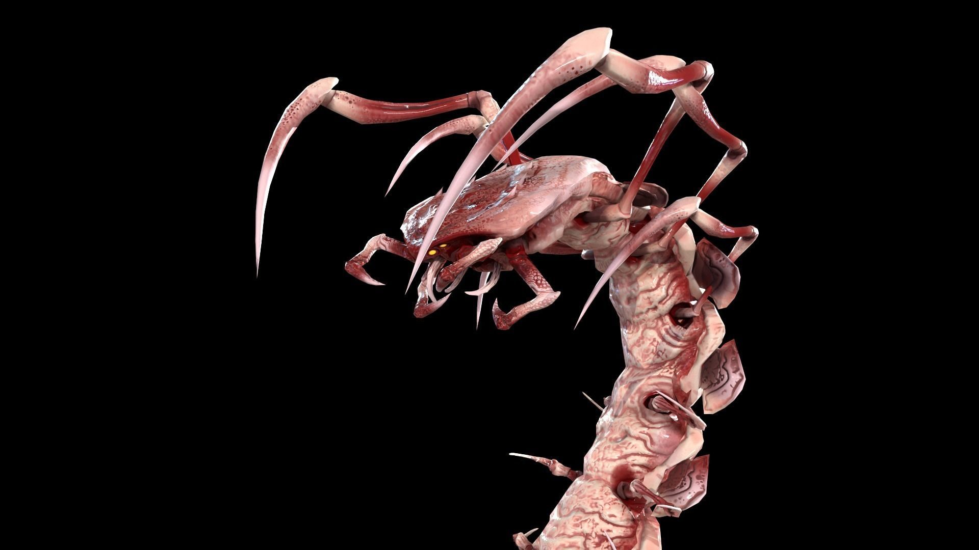 Centipede Low-poly 3D model_24