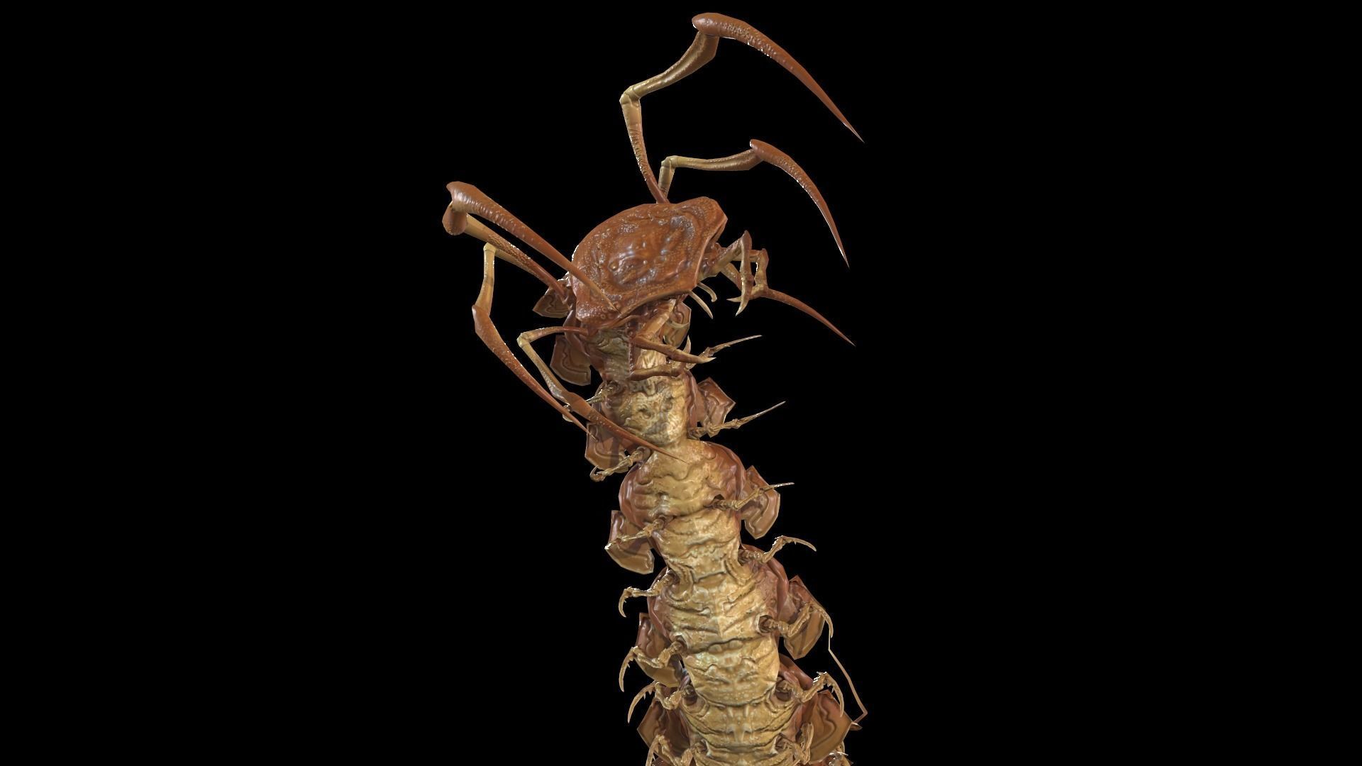 Centipede Low-poly 3D model_13