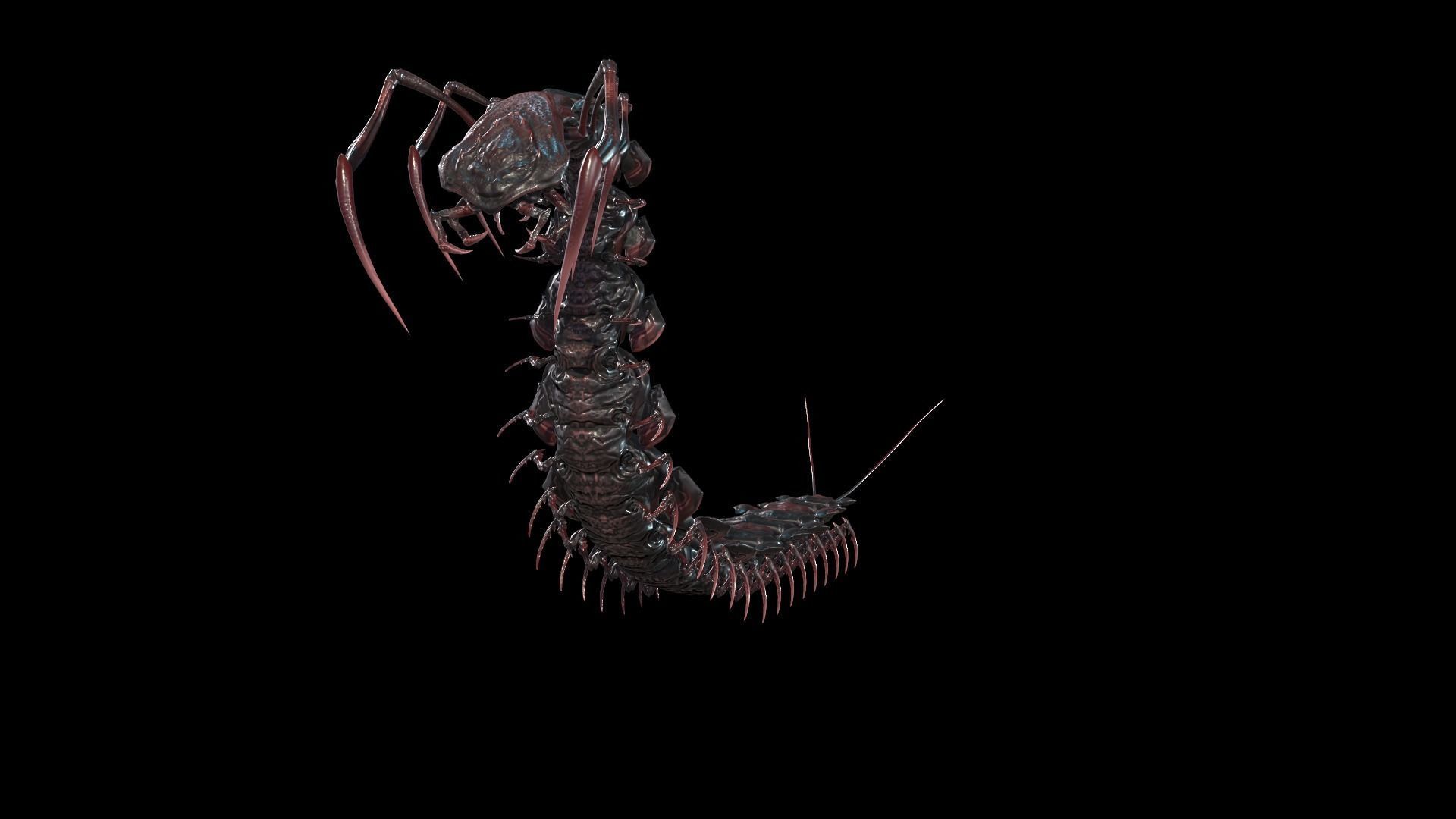 Centipede Low-poly 3D model_14