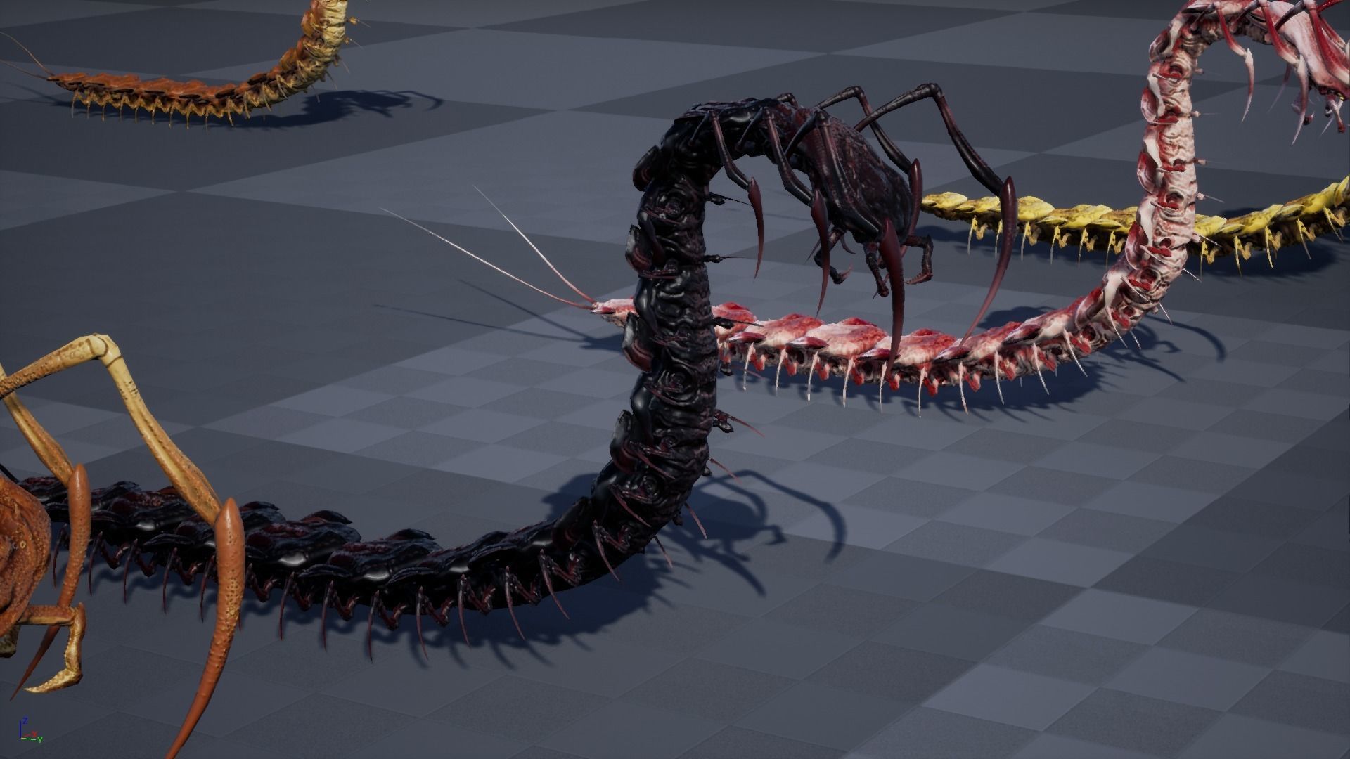 Centipede Low-poly 3D model_38