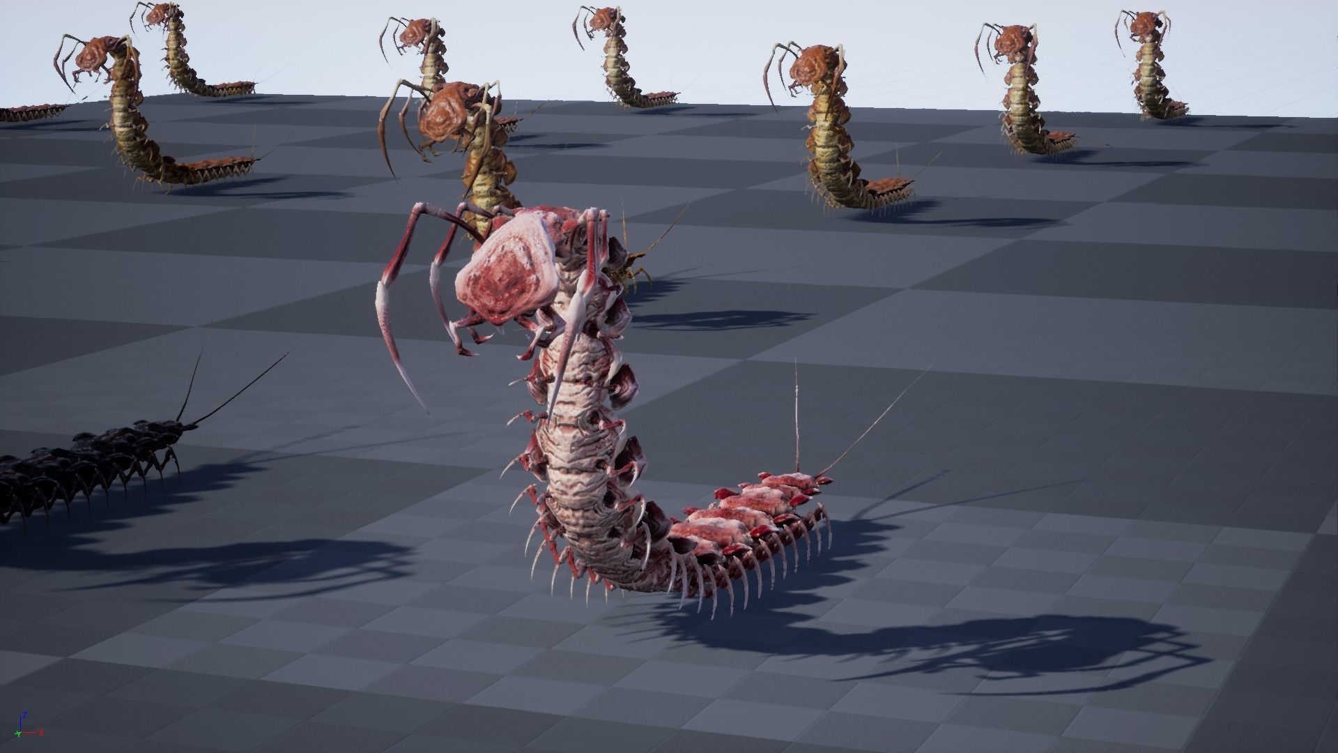 Centipede Low-poly 3D model_39