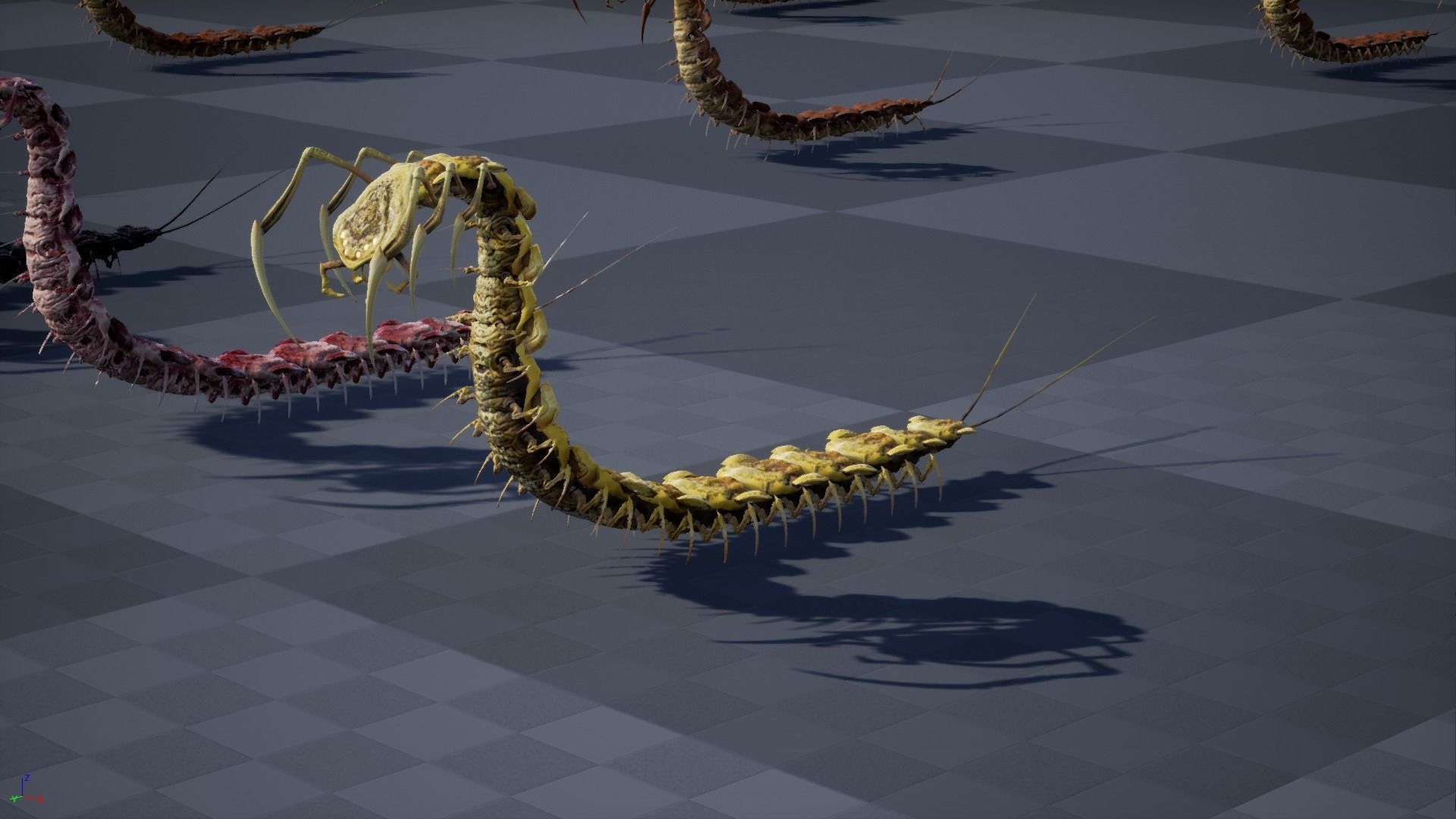 Centipede Low-poly 3D model_40