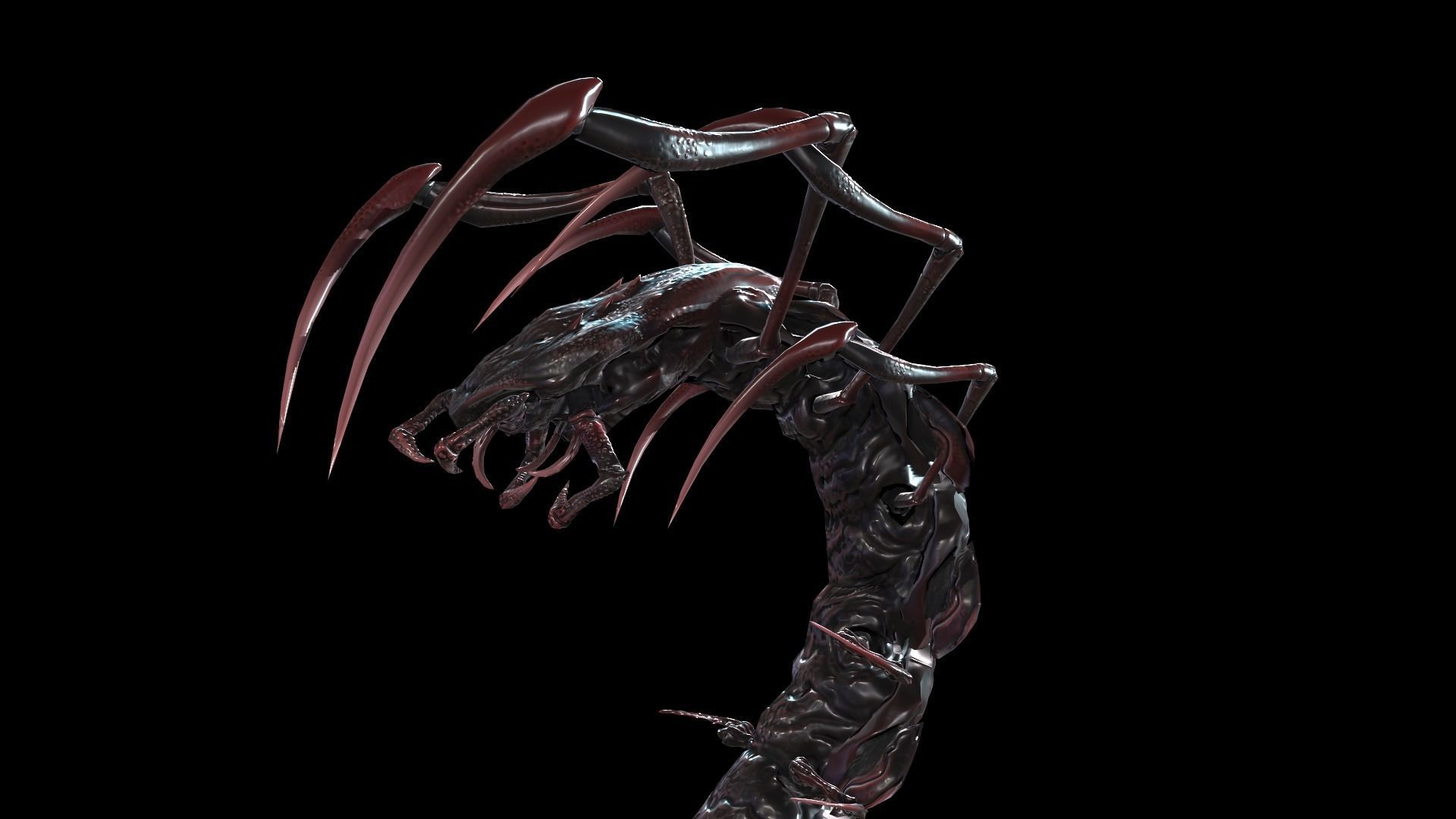 Centipede Low-poly 3D model_22