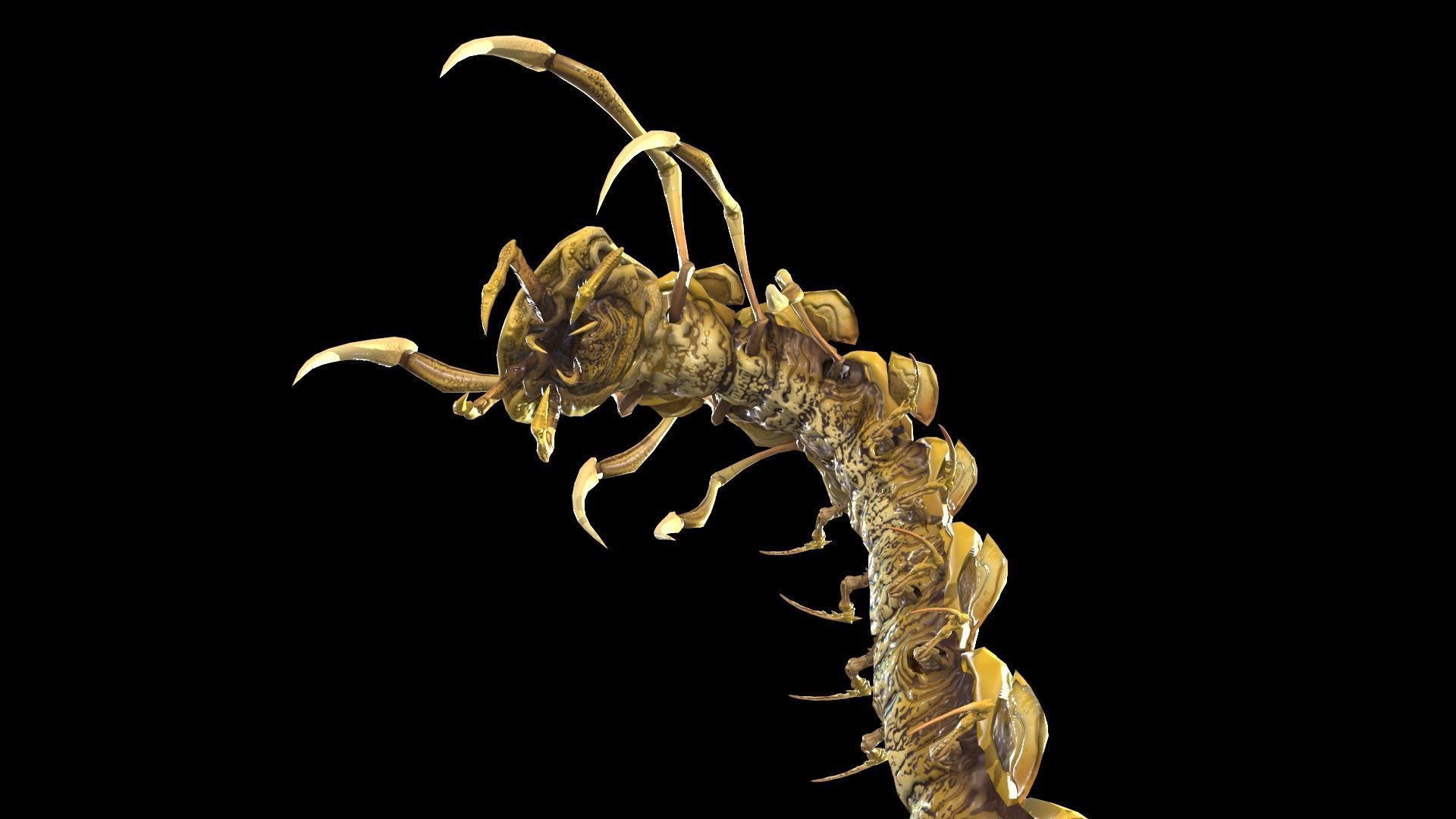 Centipede Low-poly 3D model_15