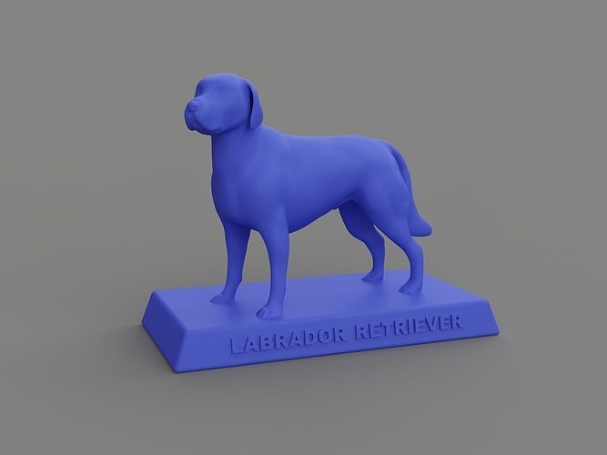 Labrador Retriever 3D print model