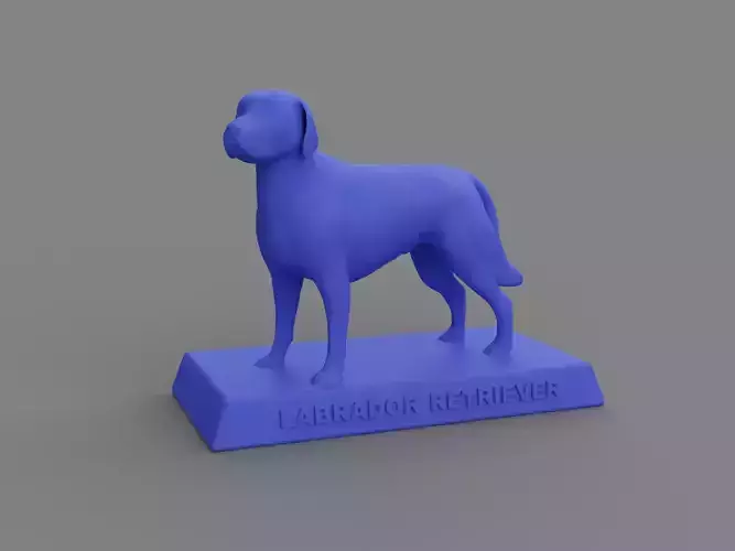 Labrador Retriever 3D print model