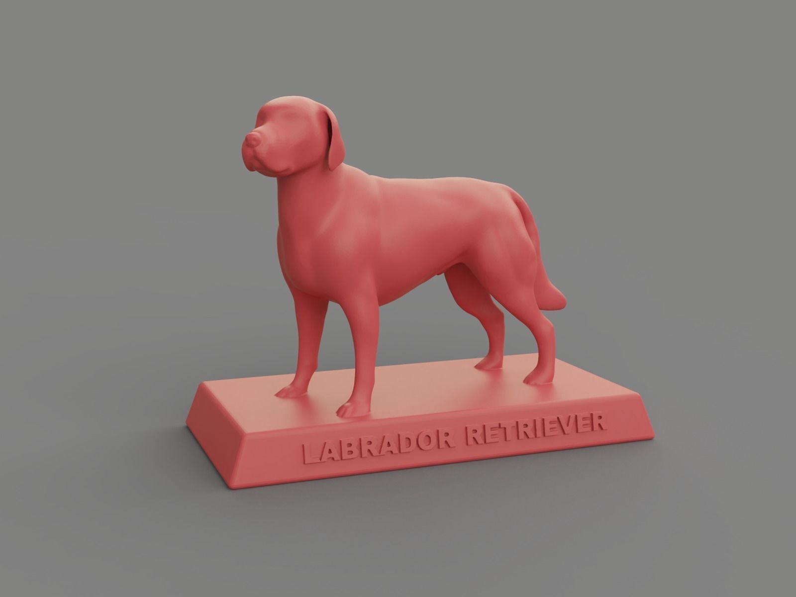 Labrador Retriever 3D print model_4