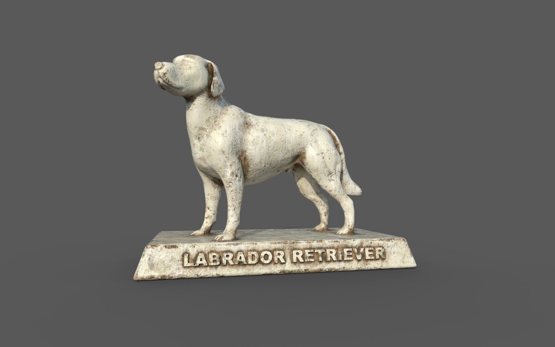 Labrador Retriever 3D print model_6