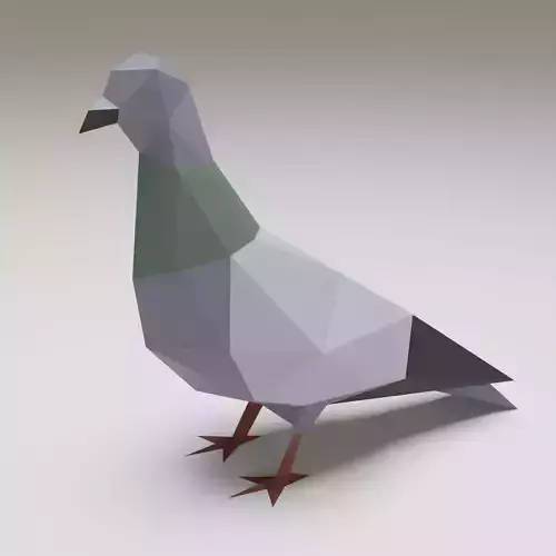 Bird - Pigeon 3D print model