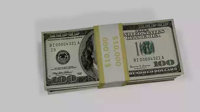 Cash bundle 100 usd bills