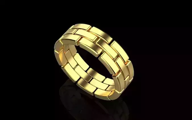 chain ring 1