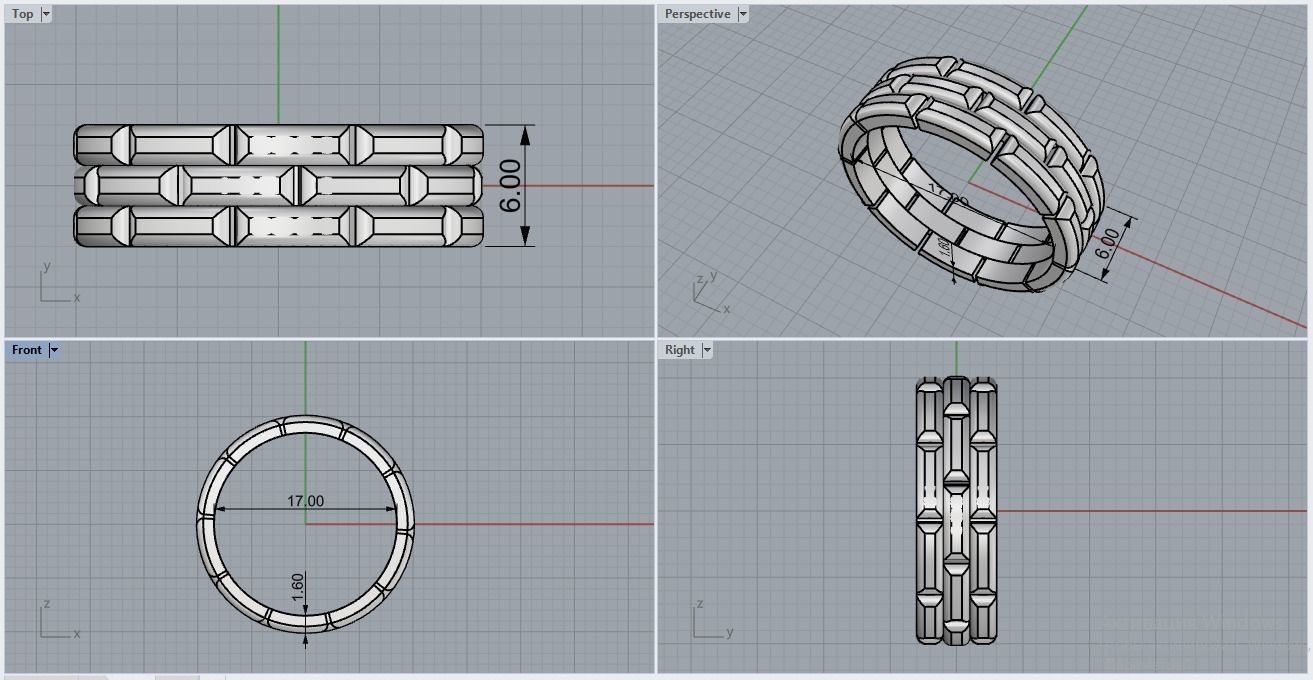 chain ring 2 3D print model_3