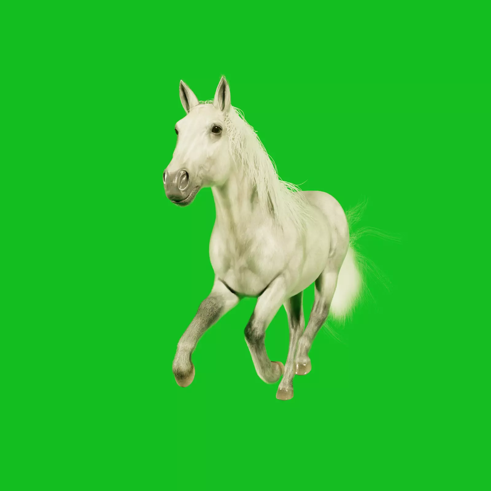Horse running on screen - 3D model