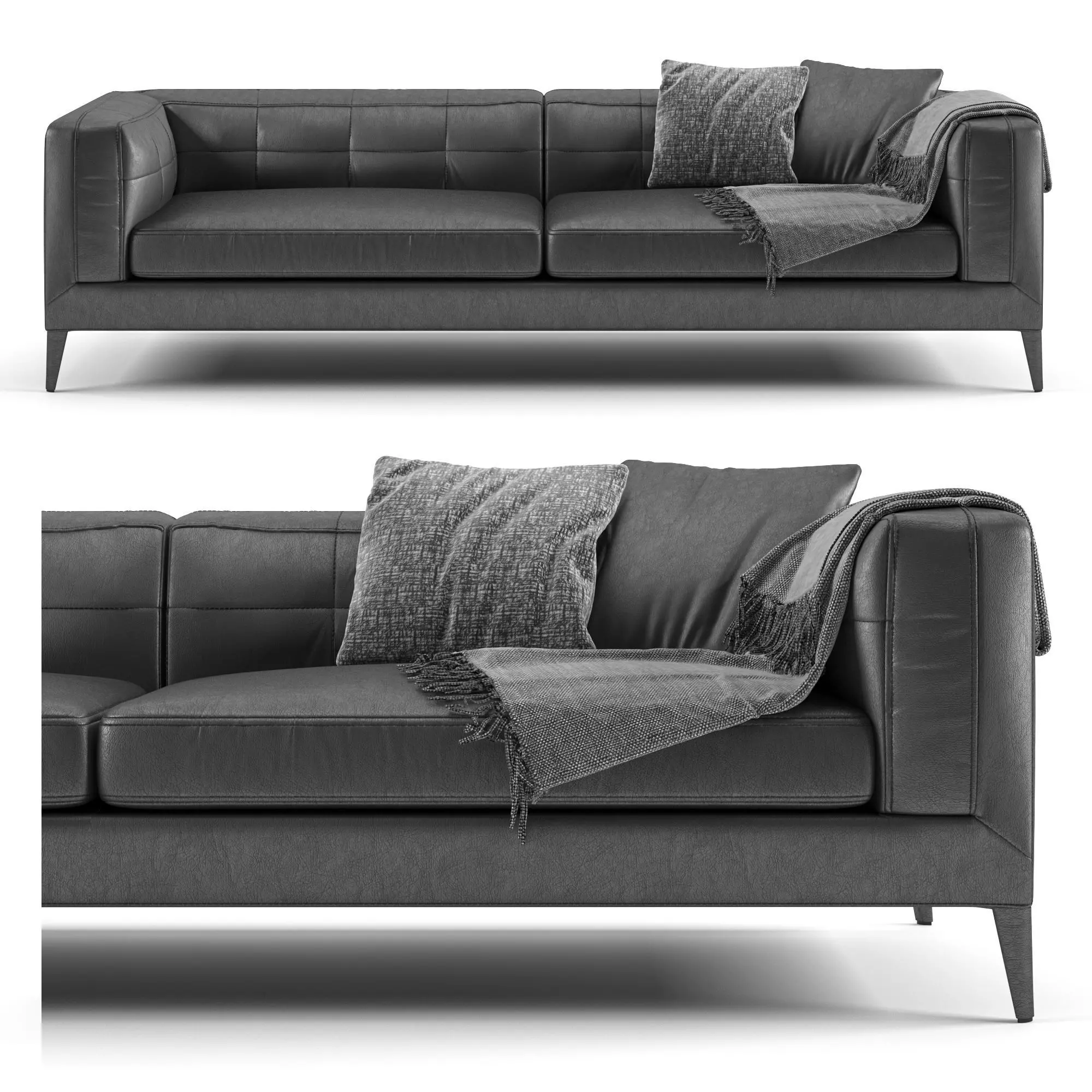 Dives Soft BeBitalia 3D model