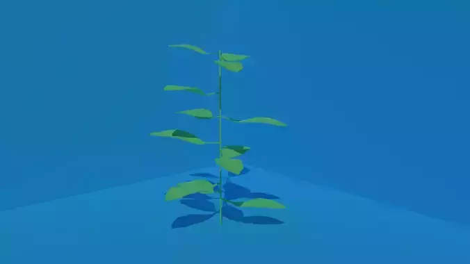 Simple Plant