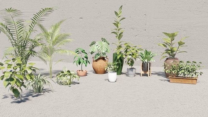 plants with pots Low-poly 3D model
