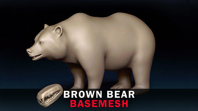 Brown Bear Base Mesh 3D model