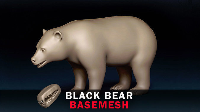 Black Bear Base Mesh 3D model