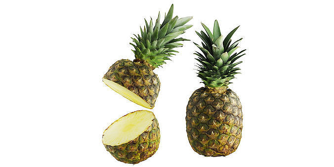 Pineapple BLENDER 3D Model Cycles 3D model 2