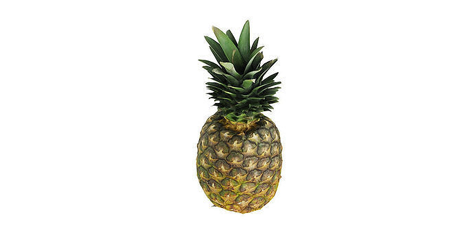Pineapple BLENDER 3D Model Cycles 3D model 5
