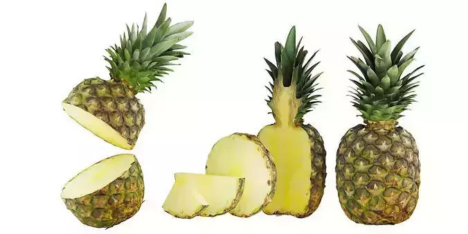 Pineapple BLENDER 3D Model Cycles