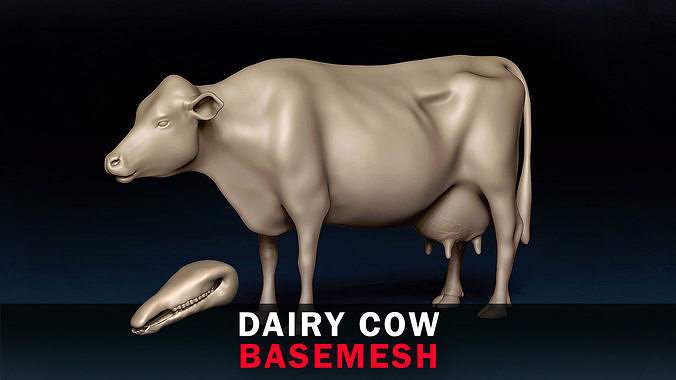Dairy Cow Base Mesh 3D model